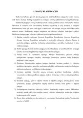 Apskaitos organizavimas viešojo sektoriaus organizacijose ir verslo įmonėje 3 puslapis