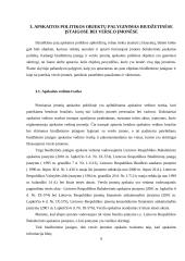 Apskaitos organizavimas viešojo sektoriaus organizacijose ir verslo įmonėje 7 puslapis