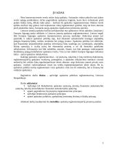 Apskaitos politikos reglamentavimas Lietuvos Respublikoje 2 puslapis