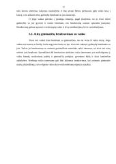 Asmeninių tėvų teisių ir pareigų samprata ir turinys 11 puslapis