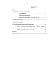 Asmeninių tėvų teisių ir pareigų samprata ir turinys 3 puslapis