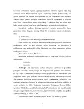 Atsakomybė tarptautinėje teisėje 4 puslapis