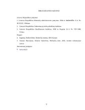 Atsakomybė už mokesčių įstatymų pažeidimus 11 puslapis