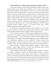 Atsakomybė už mokesčių įstatymų pažeidimus 3 puslapis