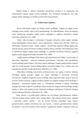 Augalų auginimo sąlygos ir reguliavimas 11 puslapis