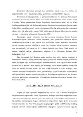 Augalų auginimo sąlygos ir reguliavimas 4 puslapis