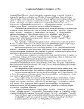 Augalų gydomosios savybės. Svogūnas 2 puslapis