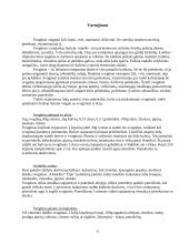 Augalų gydomosios savybės. Svogūnas 6 puslapis