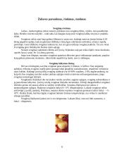 Augalų gydomosios savybės. Svogūnas 8 puslapis