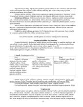 Augalų gydomosios savybės. Svogūnas 10 puslapis