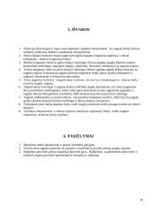 Augalų simpatijos ir antipatijos bei sezonų įtaka jų augimui 19 puslapis