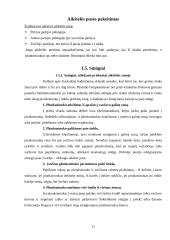 Badmintono, kaip sportinio žaidimo, charakteristika 12 puslapis