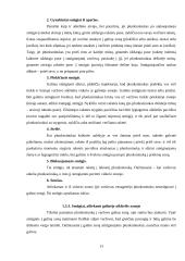 Badmintono, kaip sportinio žaidimo, charakteristika 14 puslapis