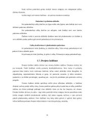 Badmintono, kaip sportinio žaidimo, charakteristika 17 puslapis