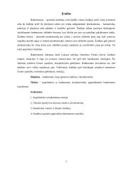 Badmintono, kaip sportinio žaidimo, charakteristika 3 puslapis