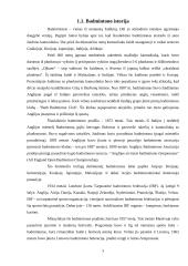 Badmintono, kaip sportinio žaidimo, charakteristika 4 puslapis