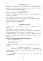 Badmintono, kaip sportinio žaidimo, charakteristika 7 puslapis