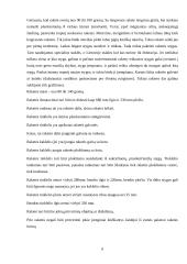 Badmintono, kaip sportinio žaidimo, charakteristika 9 puslapis