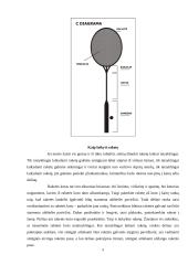 Badmintono, kaip sportinio žaidimo, charakteristika 10 puslapis