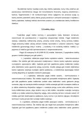 Banku funkcijos, uždaviniai bei operacijos Lietuvoje 13 puslapis