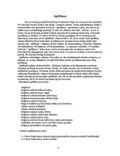 Bėgimo sportas 2 puslapis