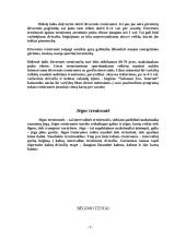 Bėgimo sportas 5 puslapis