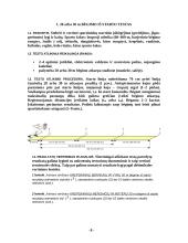 Bėgimo sportas 6 puslapis