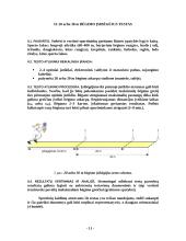Bėgimo sportas 9 puslapis