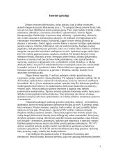 Bendra buhalterinės apskaitos charakteristika 3 puslapis