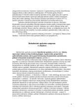 Bendra buhalterinės apskaitos charakteristika 4 puslapis