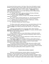 Bendra buhalterinės apskaitos charakteristika 7 puslapis