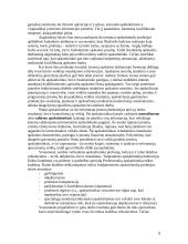 Bendra buhalterinės apskaitos charakteristika 8 puslapis