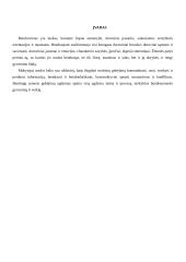 Bendravimas ir bendradarbiavimas ugdymo procese 2 puslapis