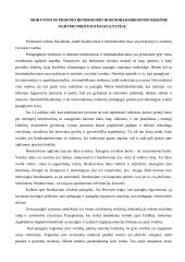 Bendravimas ir bendradarbiavimas ugdymo procese 3 puslapis