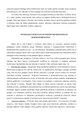 Bendravimas ir bendradarbiavimas ugdymo procese 4 puslapis