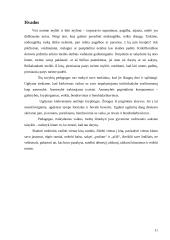 Bendravimo ir bendradarbiavimo gebėjimų ugdymas 11 puslapis