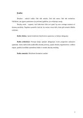 Bendravimo su Italija ypatumai 2 puslapis