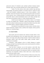 Bendravimo su Italija ypatumai 11 puslapis