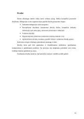 Bendravimo su Italija ypatumai 13 puslapis