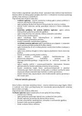 Bendri kūno kultūros išsilavinimo standartai 7 puslapis