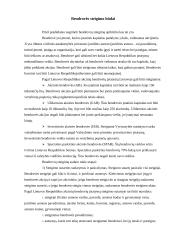 Bendrovės steigimo būdai, kapitalas ir steigimo dokumentai 3 puslapis