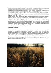 Bioprodukcinis ūkis ir ekologinės problemos 3 puslapis