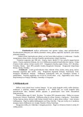 Bioprodukcinis ūkis ir ekologinės problemos 8 puslapis