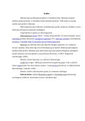 Blastomyces gentis ir Clostridium tetani