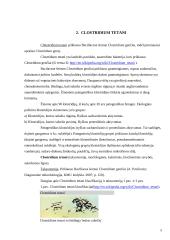 Blastomyces gentis ir Clostridium tetani 5 puslapis