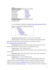 Blastomyces gentis ir Clostridium tetani 6 puslapis