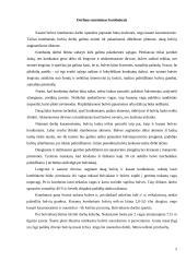 Bulvių derliaus nuėmimas 5 puslapis