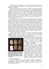 Chemijos įvadas 12 puslapis