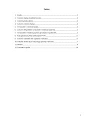 Centrinis bankas (CB) – išimtinis vyriausybės finansų reikalų agentas 2 puslapis