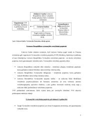 Centrinis bankas (CB) – išimtinis vyriausybės finansų reikalų agentas 6 puslapis